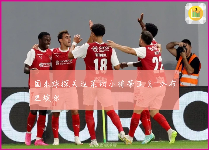 国米球探关注莱切小将蒂亚戈-加布里埃尔