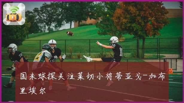 国米球探关注莱切小将蒂亚戈-加布里埃尔